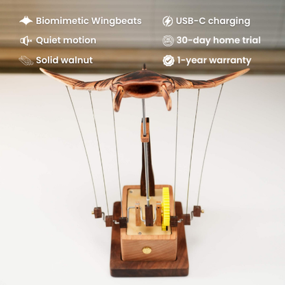 Hydraya Wooden Manta Ray Automaton